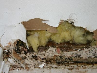 About Experienced Water Damage Restoration LLC
